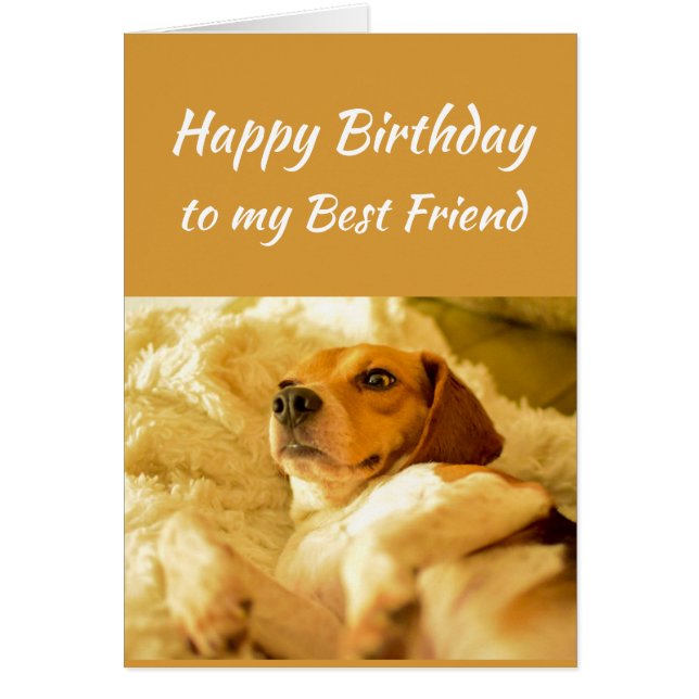 Feliz cumpleaños, mejor amigo, divertidos animales (Frente)