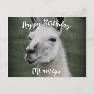 Feliz cumpleaños "Mi Amiga" postal de Lama