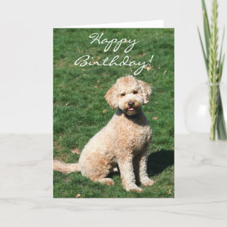 Feliz cumpleaños Mini tarjeta de bienvenida Golden