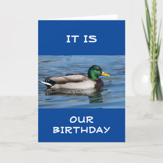 ¡¡¡FELIZ "CUMPLEAÑOS MUTUOS", SOLO PATO!!! TARJETA