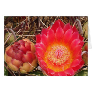 Feliz cumpleaños Nana Bright Cactus Bloom Foto