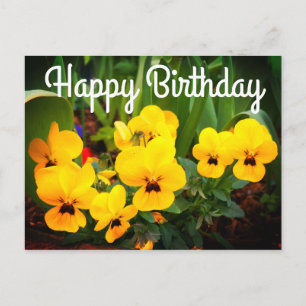 Feliz cumpleaños, pansia amarilla #1 postal