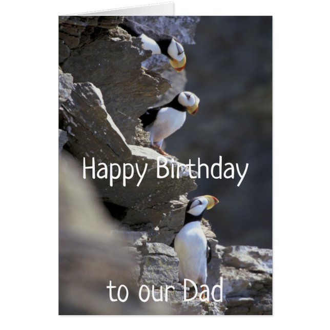 Feliz cumpleaños papá Cute Puffin Birds Humor anim (Frente)
