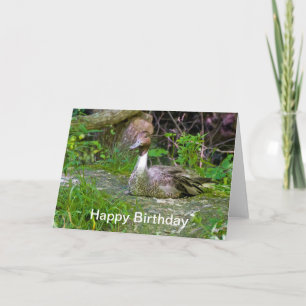 Feliz cumpleaños, pato, tarjeta de saludo