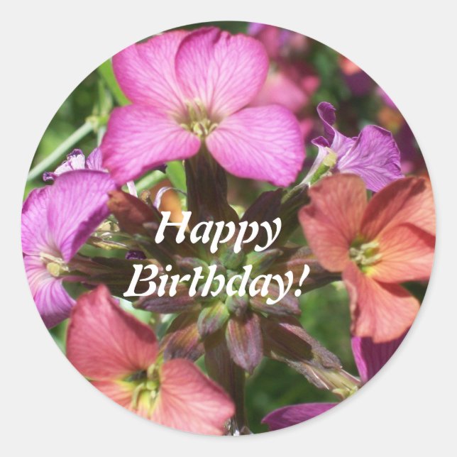 Feliz cumpleaños, Pegatina 'Constant Cheer' (Anverso)