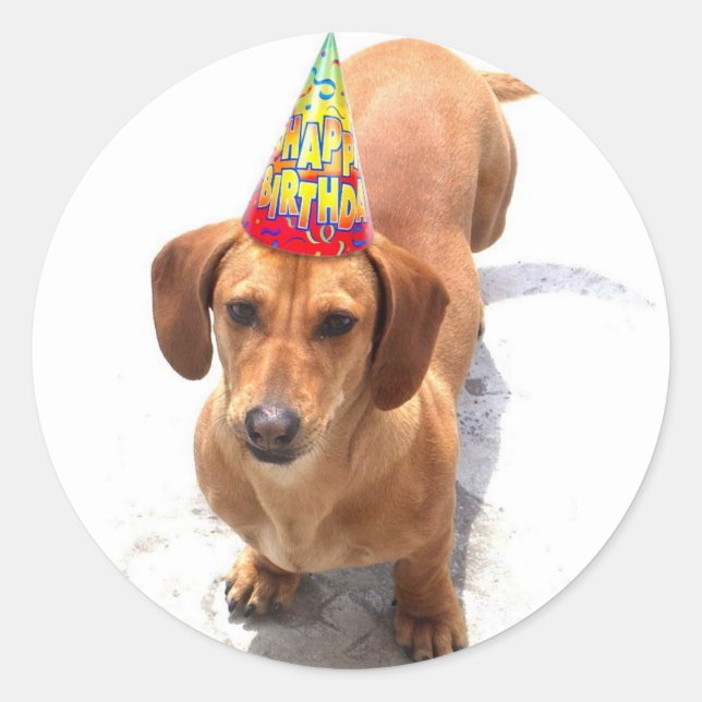 Feliz cumpleaños, pegatinas de Dachshund (Anverso)