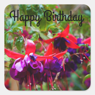 Feliz cumpleaños, Pegatinas de la Fuchsia Roja y M