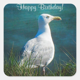 Feliz cumpleaños, Pegatinas de la Plaza de la Gavi