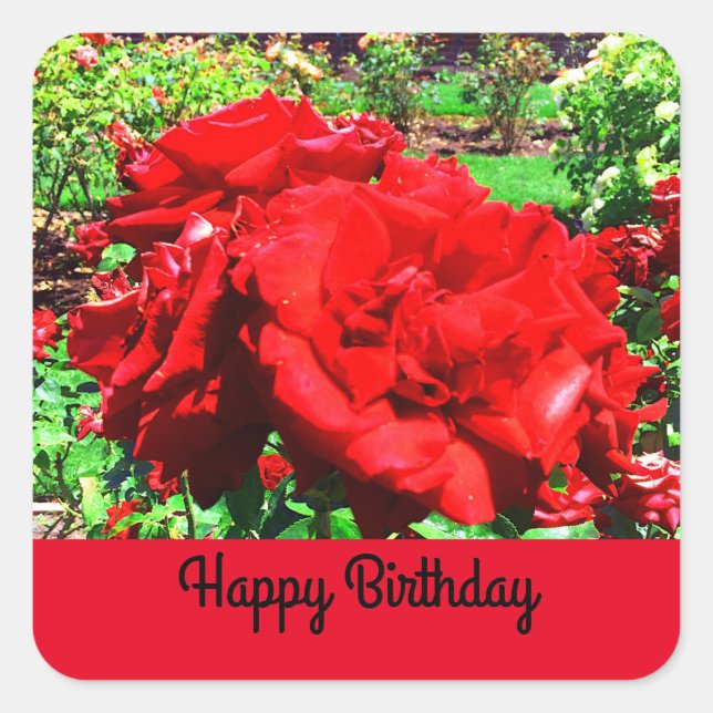 Feliz cumpleaños, Pegatinas de la Rosa Roja #1 (Anverso)