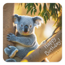 Feliz cumpleaños, Pegatinas de ositos de Koala