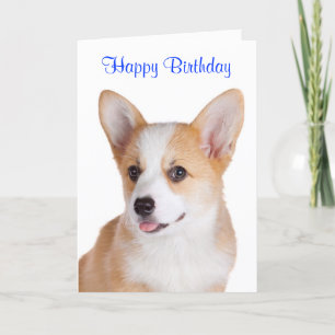 Feliz cumpleaños Pembroke Welsh Corgi Tarjeta de f