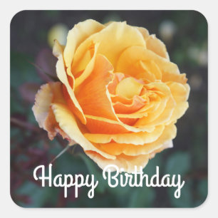Feliz cumpleaños por el Rosa #3 Pegatinas
