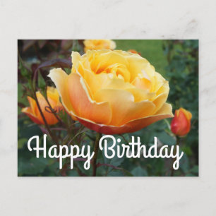 Feliz cumpleaños por la tarjeta postal #2
