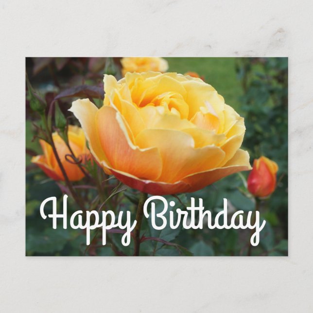 Feliz cumpleaños por la tarjeta postal #2 (Anverso)