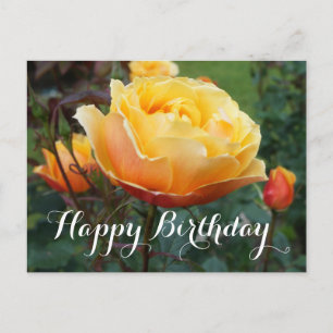 Feliz cumpleaños por la tarjeta postal #2