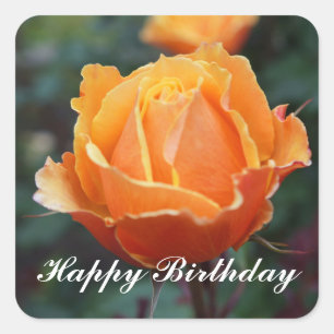 Feliz cumpleaños por los Rosas #1 Pegatinas