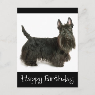 Feliz cumpleaños postal de Escocia Terrier Puppy