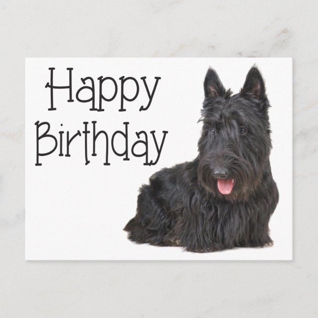 Feliz cumpleaños postal de Escocia Terrier Puppy (Anverso)