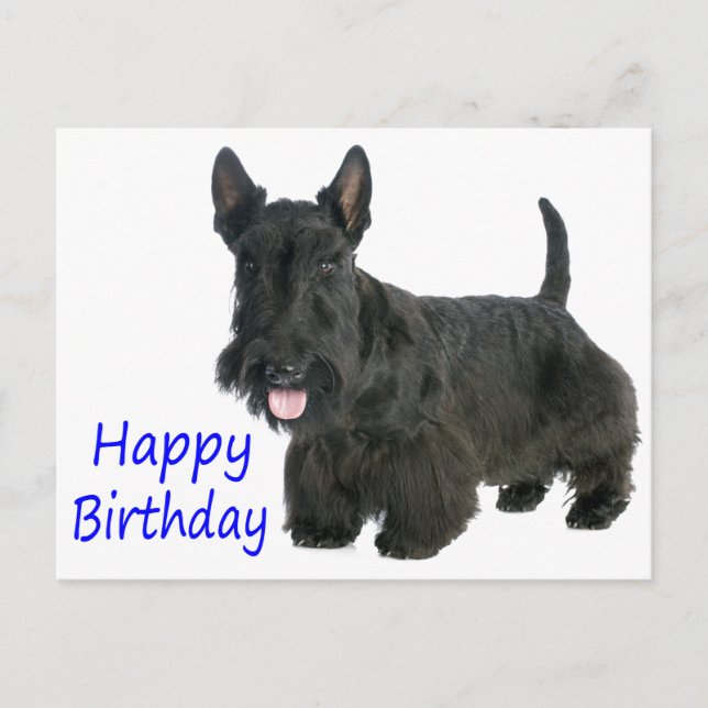 Feliz cumpleaños postal de Escocia Terrier Puppy (Anverso)