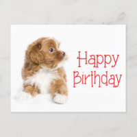 Feliz cumpleaños, postal de perros copiosos de Hav