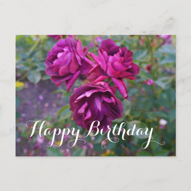Feliz Cumpleaños Postal de Rosa Iceberg Borgoña #3 (Anverso)