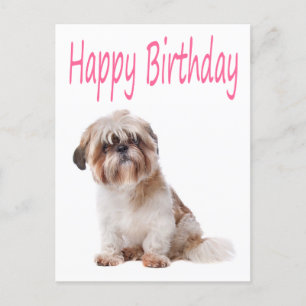 Feliz cumpleaños, postal de Shih Tzu Puppy