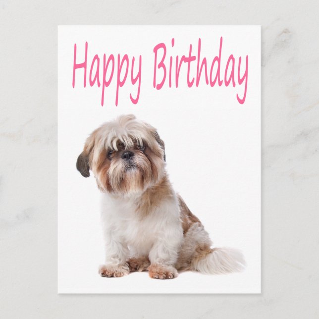 Feliz cumpleaños, postal de Shih Tzu Puppy (Anverso)