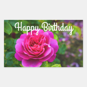 Feliz cumpleaños, princesa Anne Rosa #1 Pegatinas