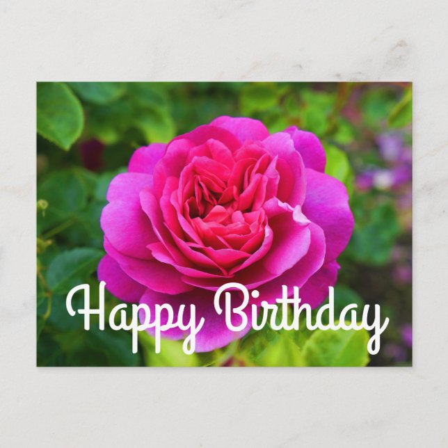 Feliz Cumpleaños Princesa Anne Rose #1 Tarjeta Pos (Anverso)
