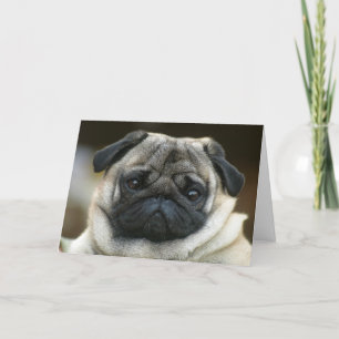 Feliz cumpleaños Pug Puppy Dog Tarjeta de saludo -
