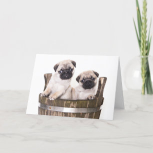 Feliz cumpleaños Pug Puppy Dog Tarjeta de saludo -