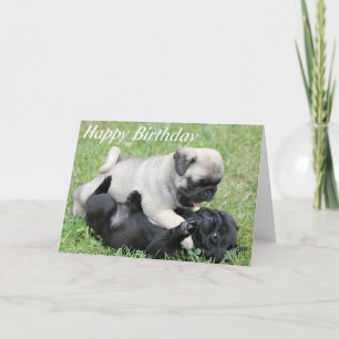 Feliz cumpleaños Pug Puppy Dog, tarjeta de saludo