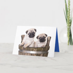 Feliz cumpleaños Pug Puppy Dog Tarjeta de saludo -