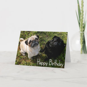 Feliz cumpleaños Pug Puppy Dog Tarjeta de saludo