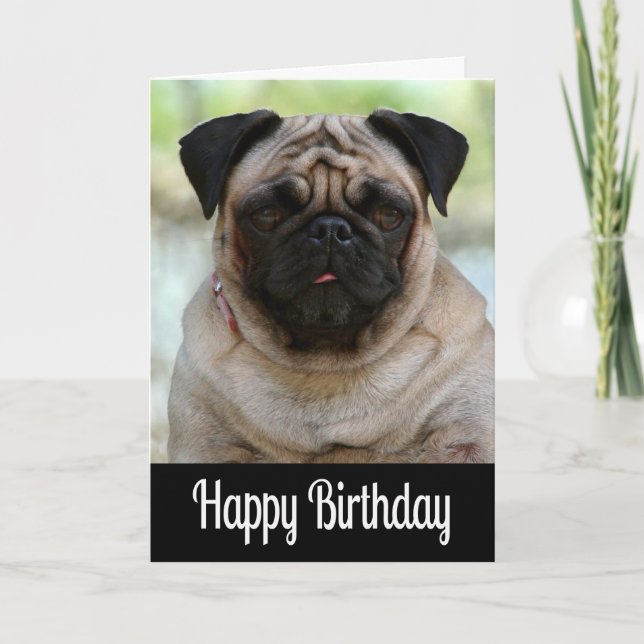 Feliz cumpleaños Pug Puppy Perro Tarjeta de Saludo (Anverso)