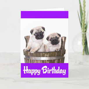 Feliz cumpleaños Pug Puppy Perros tarjeta de felic