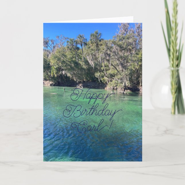 Feliz cumpleaños, querido sobrino, tarjeta (Anverso)