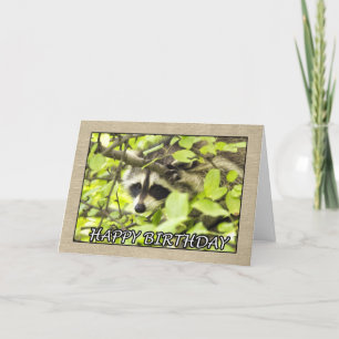 Feliz Cumpleaños Raccoon En Tarjeta De Árbol
