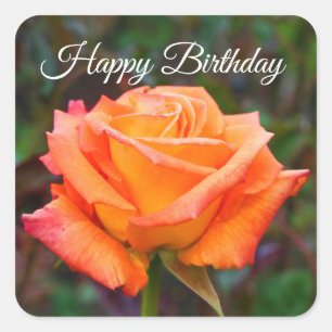 Feliz cumpleaños, Rosa caribeño #2 Pegatinas