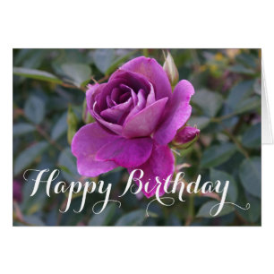 Feliz cumpleaños, Rosa de Iceberg de Borgoña #2 Ca