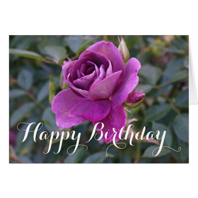 Feliz cumpleaños, Rosa de Iceberg de Borgoña #2 Ca (Anverso (Horizontal))