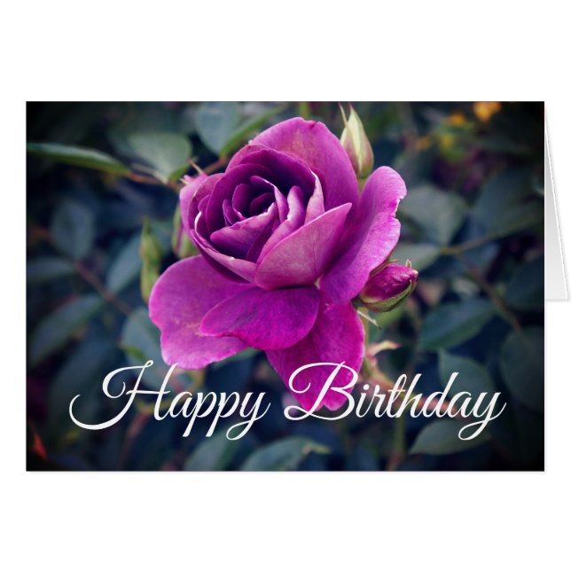 Feliz cumpleaños, Rosa de Iceberg de Borgoña #2 Ca (Anverso (Horizontal))