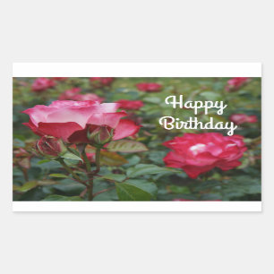 Feliz cumpleaños, Rosa de Parfait #1 Pegatinas