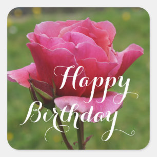 Feliz cumpleaños Rosa Duet #1 Pegatinas