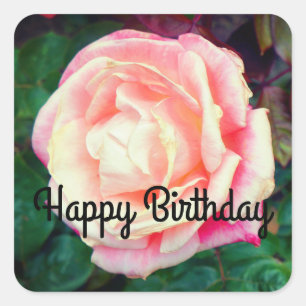 Feliz cumpleaños, Rosa Gemini #1 Pegatinas