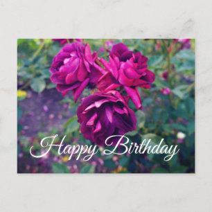 Feliz Cumpleaños Rosa Iceberg Borgoña #3-2 Postal