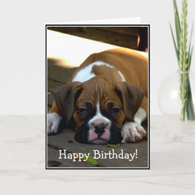 Feliz cumpleaños Sleepy boxer tarjeta de saludo de (Anverso)