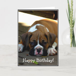Feliz cumpleaños Sleepy boxer tarjeta de saludo de