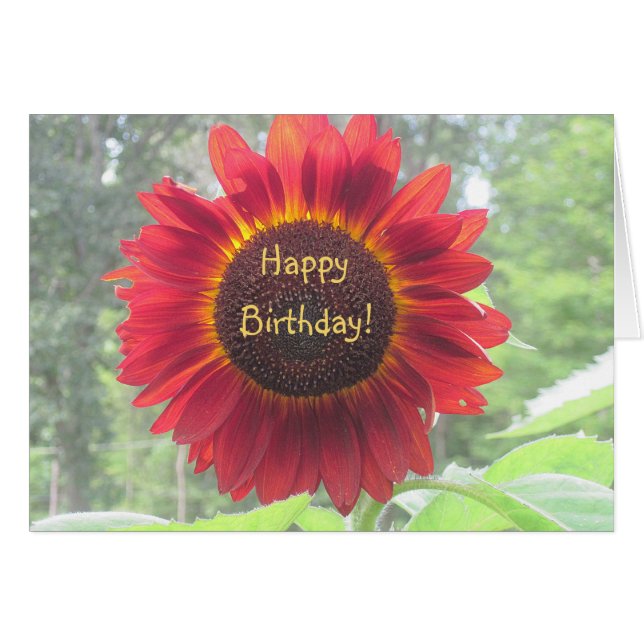 Feliz cumpleaños Sunflower (Anverso (Horizontal))