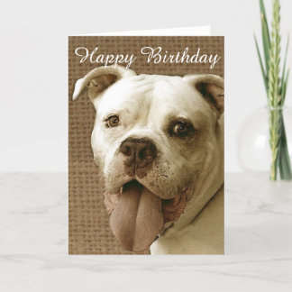 Feliz cumpleaños, tarjeta de bienvenida de bulldog